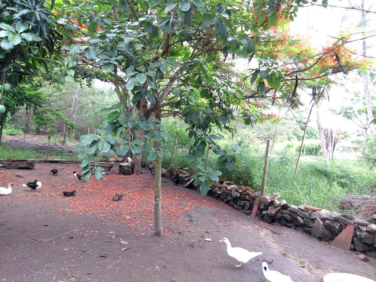Villa Casa Da Mamae Barra de São João Exterior foto
